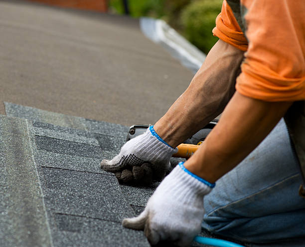 Best Roof Gutter Cleaning  in Lakeside, TX